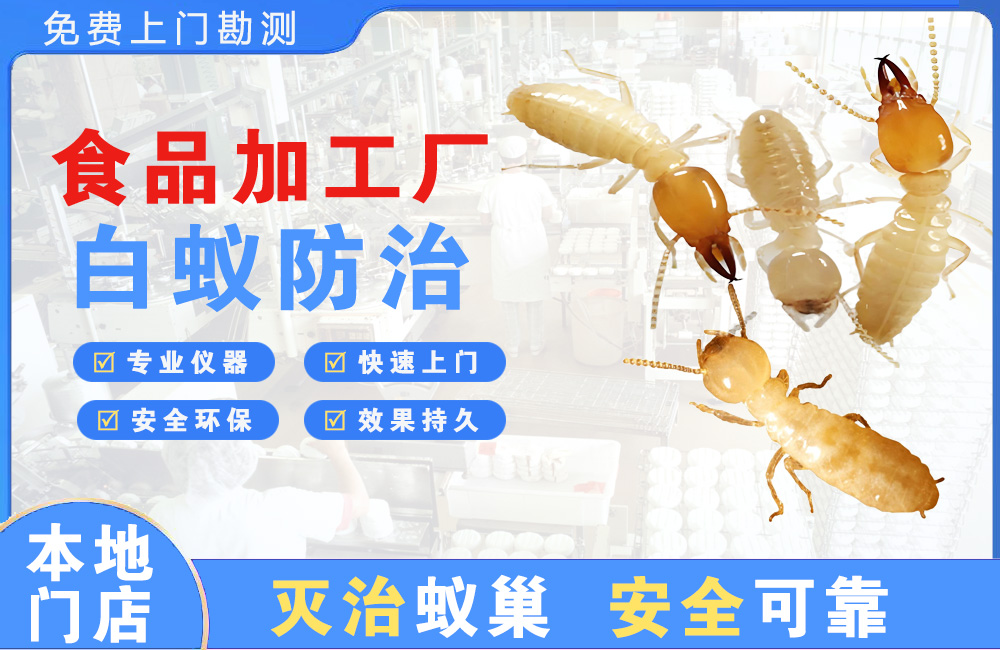 苍南食品加工厂白蚁防治