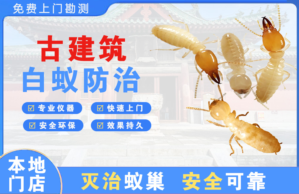 苍南古建筑白蚁防治