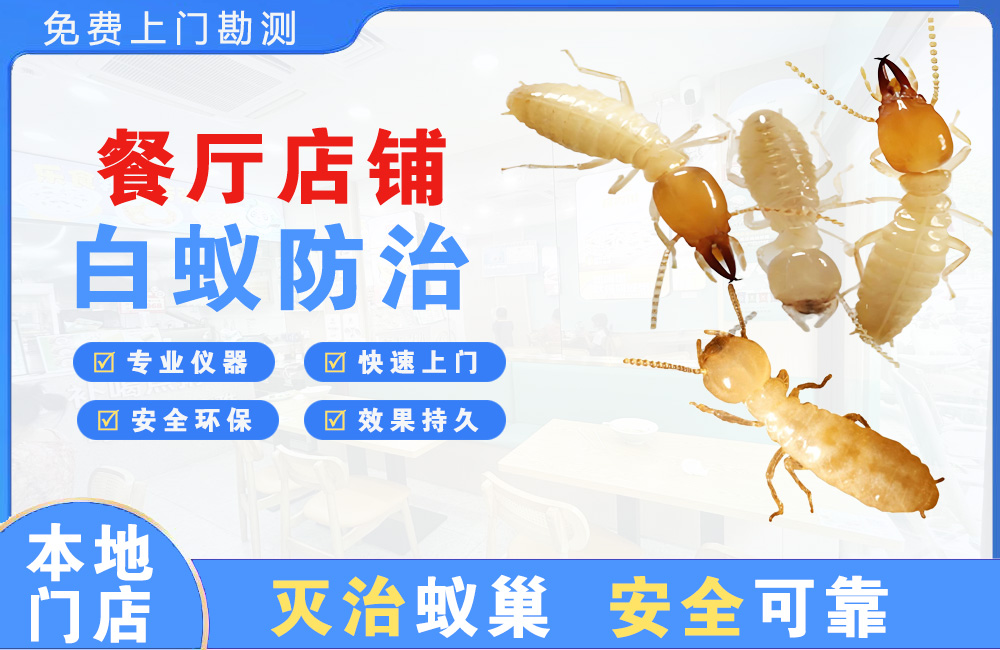 苍南餐厅店铺白蚁防治